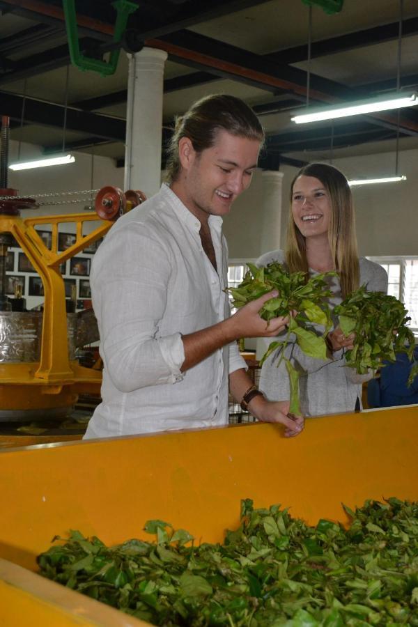 Tea And Experience Factory - Thema Collection Otel Mandaran Newara Dış mekan fotoğraf